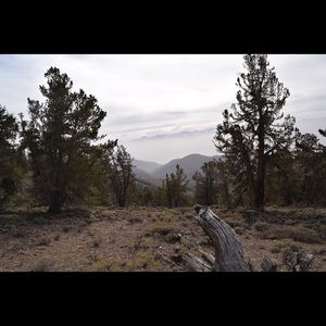 Meet your Posher, Zane